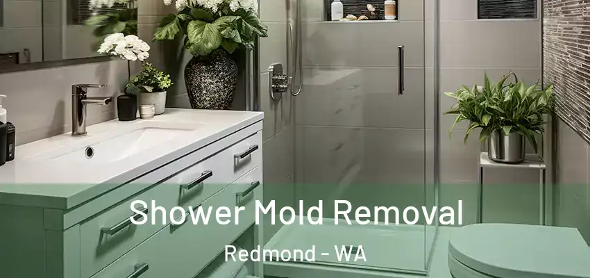  Shower Mold Removal Redmond - WA