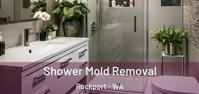  Shower Mold Removal Rockport - WA