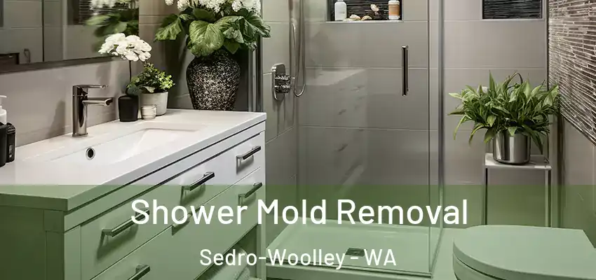 Shower Mold Removal Sedro-Woolley - WA