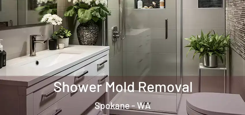  Shower Mold Removal Spokane - WA